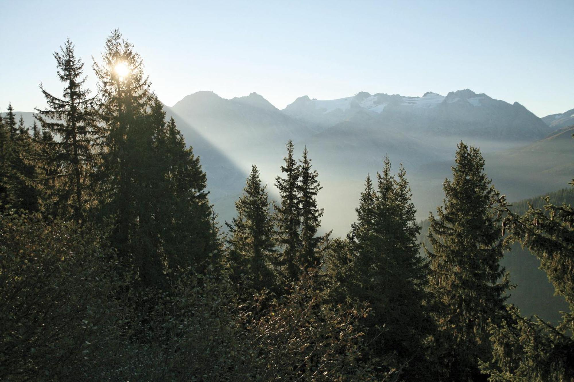Catrina Hotel Disentis Zewnętrze zdjęcie